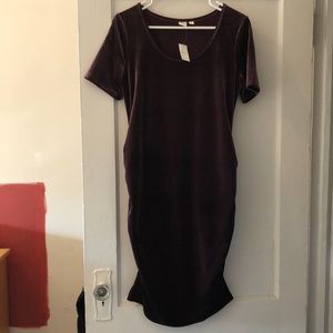 NWT Gap Maternity Purple Velvet Dress